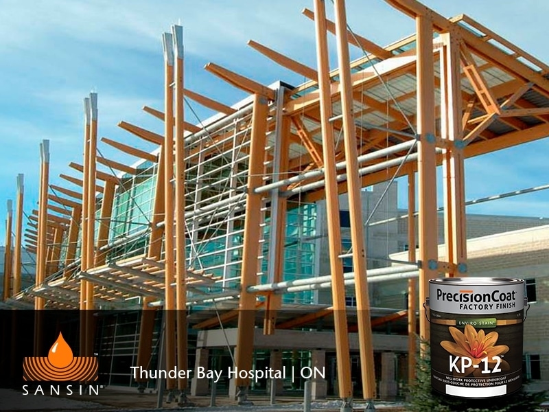 Thunder Bay Hospital